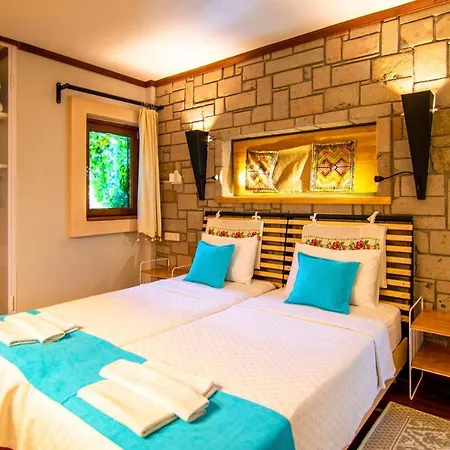 Stonehouse-1 Vilă *