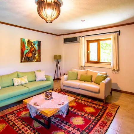 Vilă Stonehouse-1 *